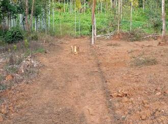 Residential Land for Sale in Wayanad, Sulthan bathery, Sultan Bathery, Poothadi