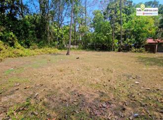 Residential Land for Sale in Alleppey, Cherthala, Vayalar, Annapoornneshwary Road, Olathala