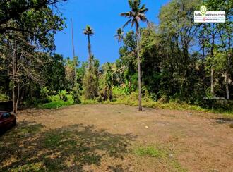Residential Land for Sale in Alleppey, Cherthala, Vayalar, Annapoornneshwary Road, Olathala