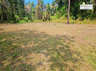 Residential Land for Sale in Alleppey, Cherthala, Vayalar, Annapoornneshwary Road, Olathala