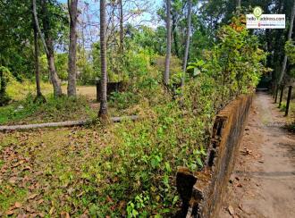 Residential Land for Sale in Alleppey, Cherthala, Vayalar, Annapoornneshwary Road, Olathala