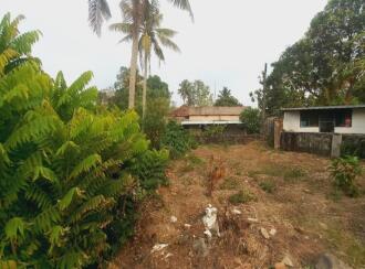 Residential Land for Sale in Ernakulam, Aluva, Aluva, Asan colony