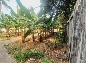 Residential Land for Sale in Ernakulam, Aluva, Aluva, Asan colony