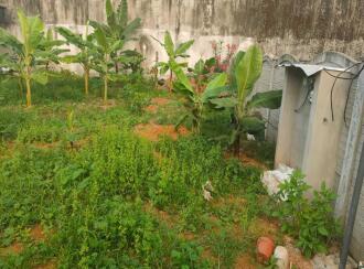 Residential Land for Sale in Ernakulam, Ernakulam town, Elamakara, Elamakkara