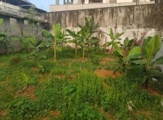 Residential Land for Sale in Ernakulam, Ernakulam town, Elamakara, Elamakkara