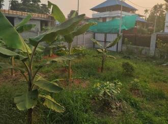 Residential Land for Sale in Ernakulam, Ernakulam town, Elamakara, Elamakkara
