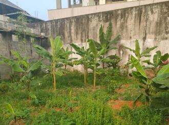 Residential Land for Sale in Ernakulam, Ernakulam town, Elamakara, Elamakkara