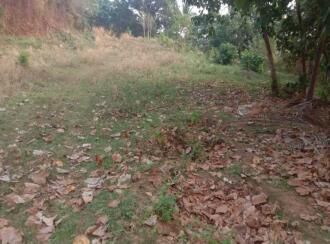 വാസയോഗ്യമായ ഭൂമി വില്പനയ്ക്ക് Thrissur, Athani, Athani, keltron Building - Mini Ootty Road