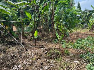 Residential Land for Sale in Ernakulam, Aluva, Aluva, Neduvanoor