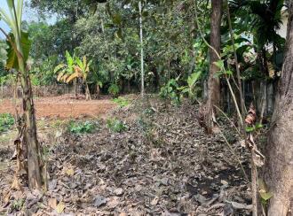 Residential Land for Sale in Ernakulam, Aluva, Aluva, Neduvanoor