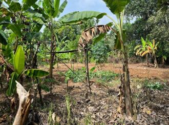 Residential Land for Sale in Ernakulam, Aluva, Aluva, Neduvanoor