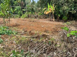 Residential Land for Sale in Ernakulam, Aluva, Aluva, Neduvanoor