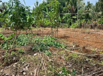 Residential Land for Sale in Ernakulam, Aluva, Aluva, Neduvanoor