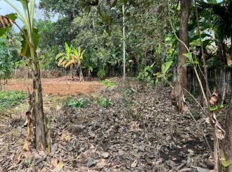 Residential Land for Sale in Ernakulam, Aluva, Aluva, Neduvanoor