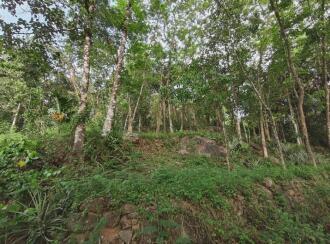 Residential House Villa for Sale in Pathanamthitta, Kozhencherry, Prakkanam, St. Mary Orthadox kurishumood