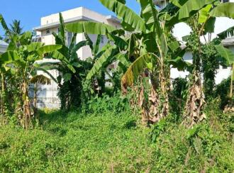 Residential Land for Sale in Thrissur, Thrissur town, Thrissur, peechi vazhani road