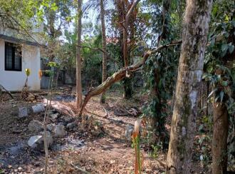 Residential House Villa for Sale in Trivandrum, Thiruvananthapuram, Peyad, near market junction