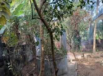 Residential House Villa for Sale in Trivandrum, Thiruvananthapuram, Peyad, near market junction