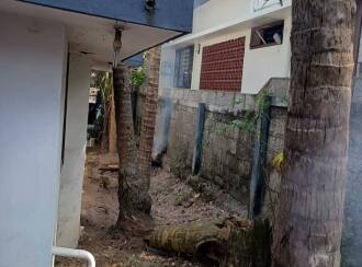 Residential House Villa for Sale in Trivandrum, Thiruvananthapuram, Peyad, near market junction