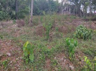 Commercial Land for Sale in Kollam, Kottarakkara, Chadayamangalam