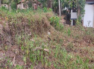 Commercial Land for Sale in Kollam, Kottarakkara, Chadayamangalam