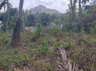 Commercial Land for Sale in Kollam, Kottarakkara, Chadayamangalam