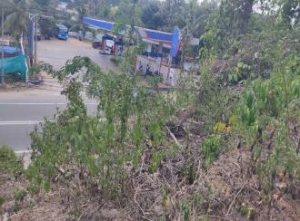 Commercial Land for Sale in Kollam, Kottarakkara, Chadayamangalam