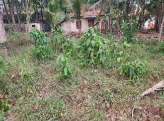 Commercial Land for Sale in Kollam, Kottarakkara, Chadayamangalam