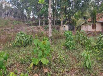 Commercial Land for Sale in Kollam, Kottarakkara, Chadayamangalam