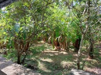 Residential House Villa for Sale in Thrissur, Irinjalakuda, Irinjalakuda