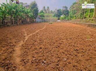 Residential Land, Pathanamthitta