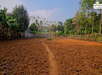 Commercial Land for Sale in Pathanamthitta, Pathanamthitta, Pramadam, Maroor Junction
