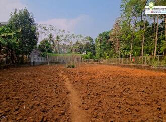 Commercial Land for Sale in Pathanamthitta, Pathanamthitta, Pramadam, Maroor Junction