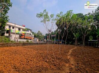 Commercial Land for Sale in Pathanamthitta, Pathanamthitta, Pramadam, Maroor Junction