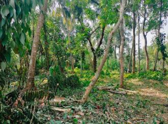 Residential Land for Sale in Palakkad, Ottappalam, Manisseri