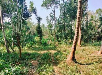Residential Land for Sale in Palakkad, Ottappalam, Manisseri