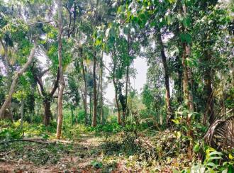 Residential Land for Sale in Palakkad, Ottappalam, Manisseri