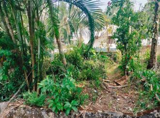 Residential Land for Sale in Palakkad, Ottappalam, Manisseri