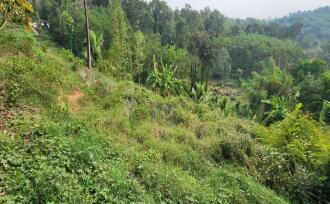 Residential House Villa for Sale in Kottayam, Erumeli, Erumeli, VAZHAKALA