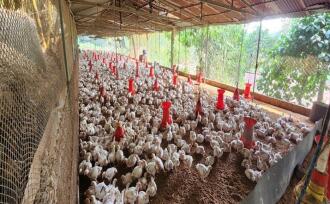 Residential House Villa for Sale in Kottayam, Erumeli, Erumeli, VAZHAKALA