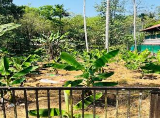 Commercial Land for Sale in Kottayam, Kuravilangad, Kurianad, Near Chavara Hills CMC Public School