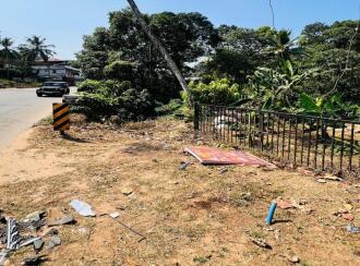 Commercial Land for Sale in Kottayam, Kuravilangad, Kurianad, Near Chavara Hills CMC Public School