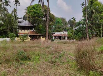 Residential Land for Sale in Thrissur, Chalakudy, Chalakkudy