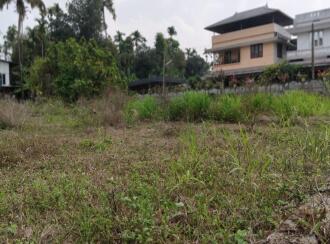Residential Land for Sale in Thrissur, Chalakudy, Chalakkudy