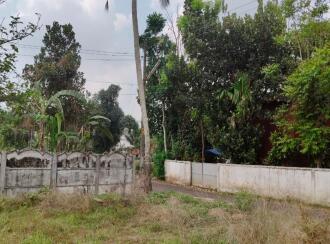 Residential Land for Sale in Thrissur, Chalakudy, Chalakkudy