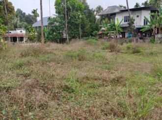 Residential Land for Sale in Thrissur, Chalakudy, Chalakkudy