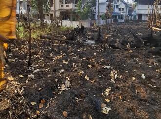 Residential Land for Sale in Ernakulam, Tripunithura, Chithrappuzha, water tank road