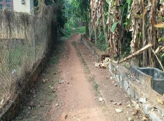 Residential Land for Sale in Pathanamthitta, Adoor, Kadampanadu north, Kallukuzhy YMCA Lane