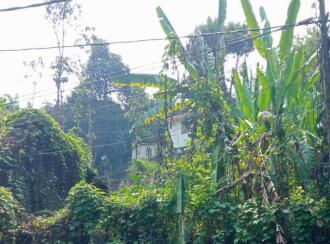 Commercial Land for Sale in Kottayam, Erumeli, Erumeli, ERUMELI