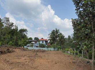 Residential Land for Sale in Kottayam, Changanassery, Paippad, Podipara government Higher secondary school